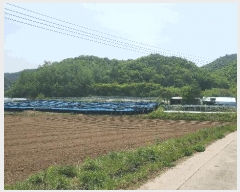  2025Ÿ910  ȫõ Ϲ  477      (1)