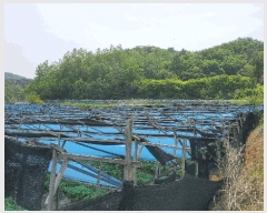  2025Ÿ910  ȫõ Ϲ  477      (1)