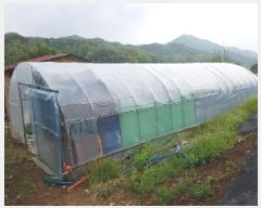  2025Ÿ910  ȫõ Ϲ  477      (1)