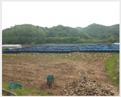  2025Ÿ910  ȫõ Ϲ  477      (1)