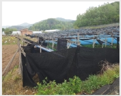  2025Ÿ910  ȫõ Ϲ  477      (1)