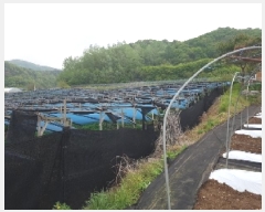  2025Ÿ910  ȫõ Ϲ  477      (1)