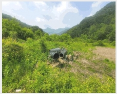  2025Ÿ1036  õ  ɸ 276      ()