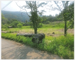  2025Ÿ1036  õ  ɸ 276      ()