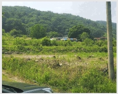  2025Ÿ1036  õ  ɸ 276      ()