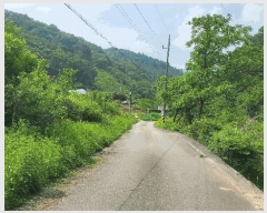  2025Ÿ1036  õ  ɸ 276      ()