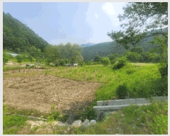  2025Ÿ1036  õ  ɸ 276      ()