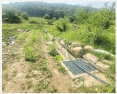  2025Ÿ1036  õ  ɸ 276      ()