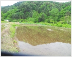  2025Ÿ1036  õ  ɸ 276      ()