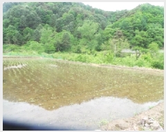  2025Ÿ1036  õ  ɸ 276      ()