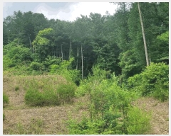  2025Ÿ��1111 ���� ȫõ�� ���� ������ 292      ����(�Ӿ�)���