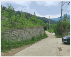  2025Ÿ��1111 ���� ȫõ�� ���� ������ 292      ����(�Ӿ�)���