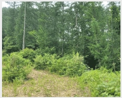  2025Ÿ��1111 ���� ȫõ�� ���� ������ 292      ����(�Ӿ�)���