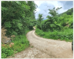  2025Ÿ��1111 ���� ȫõ�� ���� ������ 292      ����(�Ӿ�)���