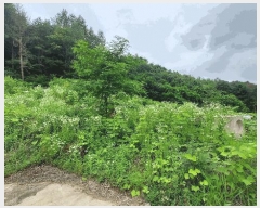  2025Ÿ1357  ȫõ Ϲ ȭ踮 254-16      (1)