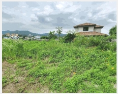  2025Ÿ1357  ȫõ Ϲ ȭ踮 254-16      (1)