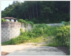  2025Ÿ1357  ȫõ Ϲ ȭ踮 254-16      (1)