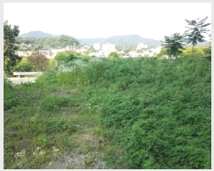  2025Ÿ1357  ȫõ Ϲ ȭ踮 254-16      (1)