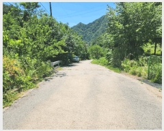  2025Ÿ1395    縮 127      (ķ)