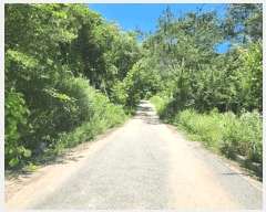  2025Ÿ1395    縮 127      (ķ)