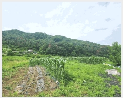  2025Ÿ1432  õ   466      ()