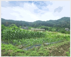  2025Ÿ1432  õ   466      ()