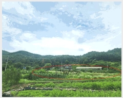  2025Ÿ1432  õ   466      ()