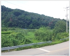  2025Ÿ1432  õ   466      ()