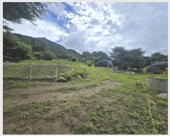  2025Ÿ��1517  �����