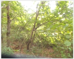  2025Ÿ��1517  �����