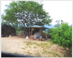  2025Ÿ��1517  �����