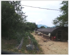  2025Ÿ��1517  �����