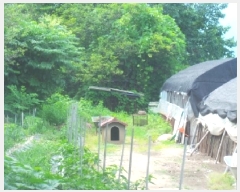  2025Ÿ��1517  �����