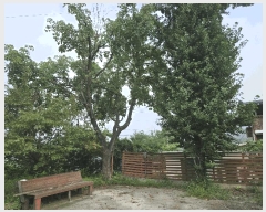  2025Ÿ��1678 ���� ȫõ�� ȫõ�� �͵��� 448      ���ð��