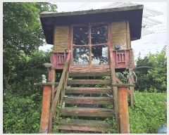  2025Ÿ��1678 ���� ȫõ�� ȫõ�� �͵��� 448      ���ð��