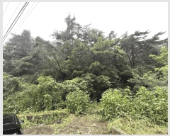  2025Ÿ1715  õ   412      (1)