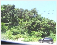  2025Ÿ1715  õ   412      (1)