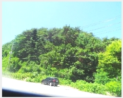  2025Ÿ1715  õ   412      (1)