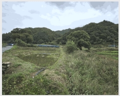  2025Ÿ��1883  ����