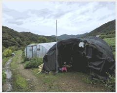  2025Ÿ��1883 ���� ȭõ�� ȭõ�� ǳ�긮 466-2      ����(��1)���