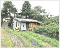  2025Ÿ��1883 ���� ȭõ�� ȭõ�� ǳ�긮 466-2      ����(��1)���