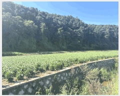  2025Ÿ��1913 ���� ��õ�� ���� �ŸŸ� 865-1      ����(��)���