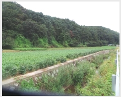  2025Ÿ��1913 ���� ��õ�� ���� �ŸŸ� 865-1      ����(��)���