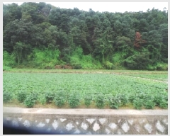  2025Ÿ��1913 ���� ��õ�� ���� �ŸŸ� 865-1      ����(��)���