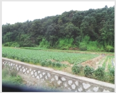  2025Ÿ��1913 ���� ��õ�� ���� �ŸŸ� 865-1      ����(��)���