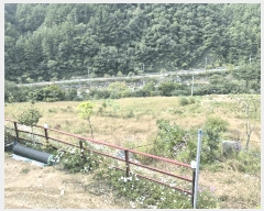  2025Ÿ��2305 ���� ������ �󳲸� �̻긮 555-7      ���ð��