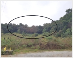  2025Ÿ��2473  �����