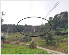  2025Ÿ��2473  �����