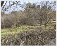  2025Ÿ��2510  �Ӿ߰��