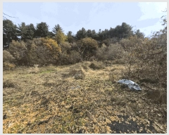  2025Ÿ��2510  �Ӿ߰��